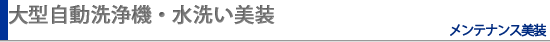 大型自動洗浄機・水洗い美装